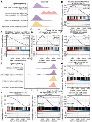 An integrated bioinformatics analysis to identify the shared biomarkers in patients with obstructive sleep apnea syndrome and nonalcoholic fatty liver disease